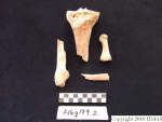 L_V20d5032 A16q179.2 R820 lR ta human bones in q-lot